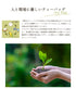 Tea grown without pesticides or chemical fertilizers Fukamushi tea bag 2.5g x 100p